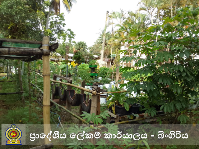 அலுவலக தோட்டம்